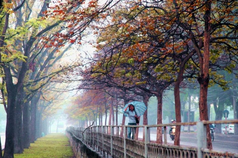 Đường Kim Mã