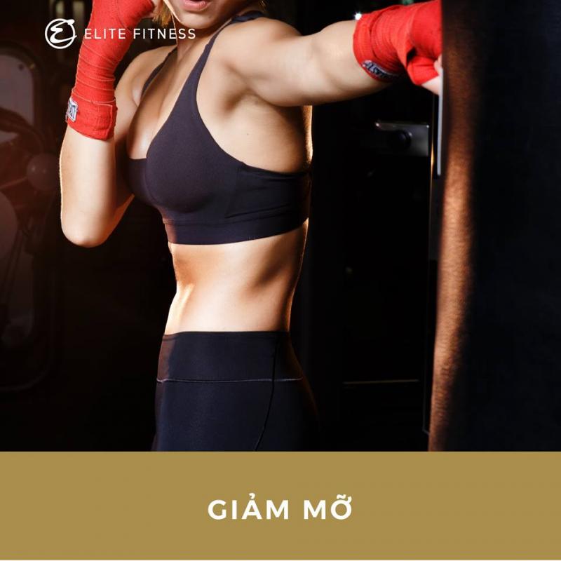 Elite Fitness