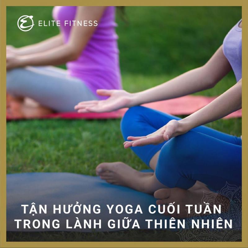 Elite Fitness