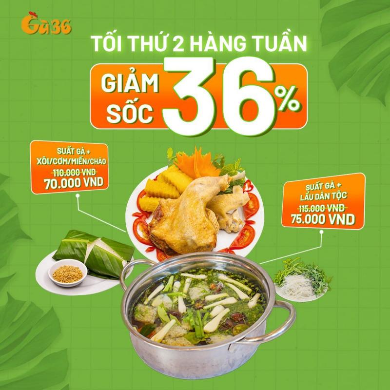 Gà36 - Phong Vị Thuần Việt