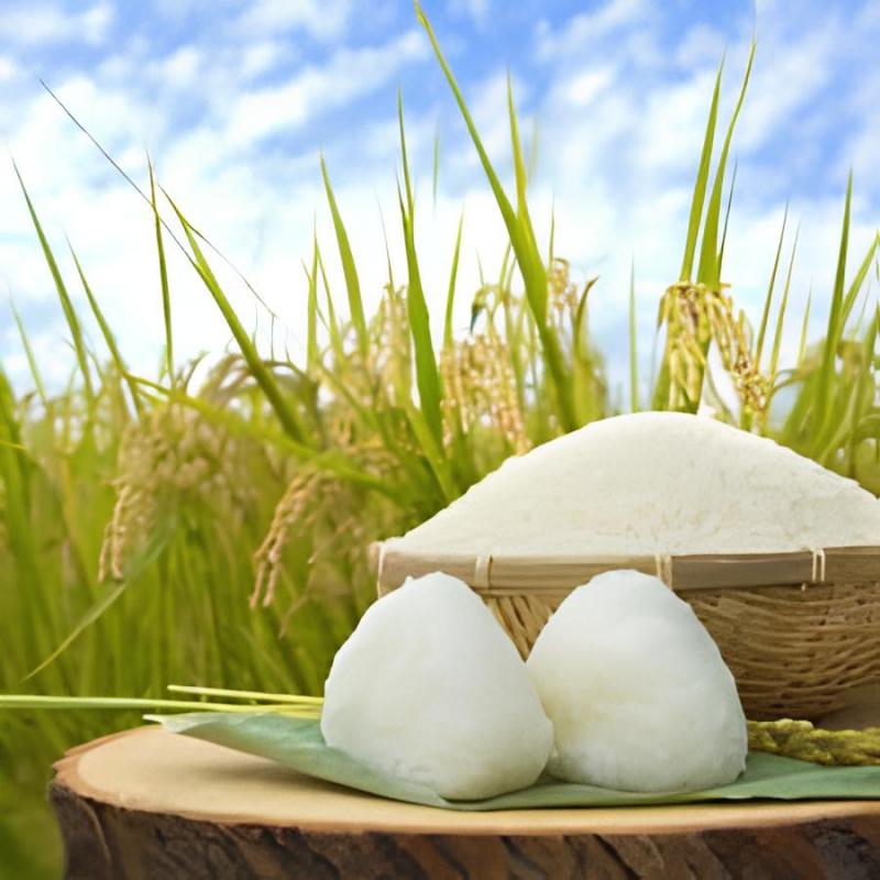 Gạo tám thơm Thái Bình