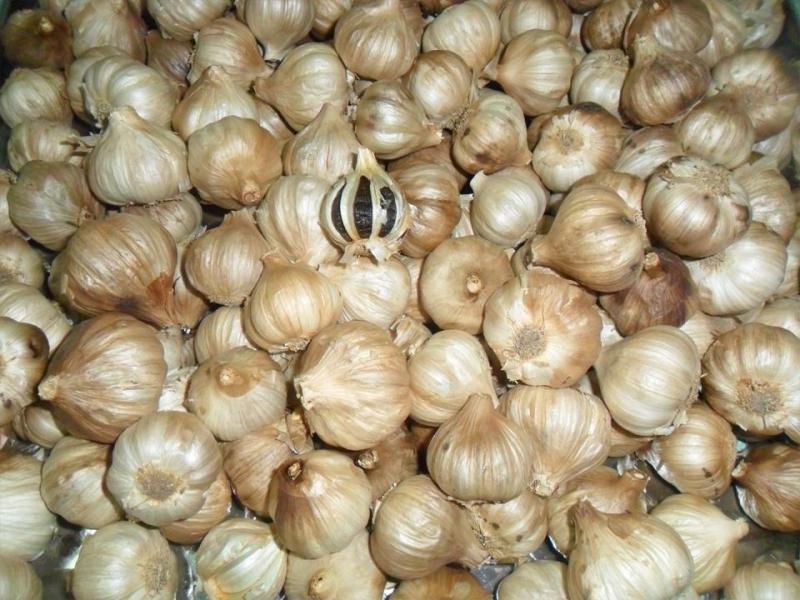 Tỏi đen