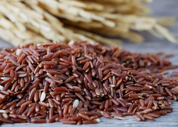 Giúp hỗ trợ tiêu hoá
