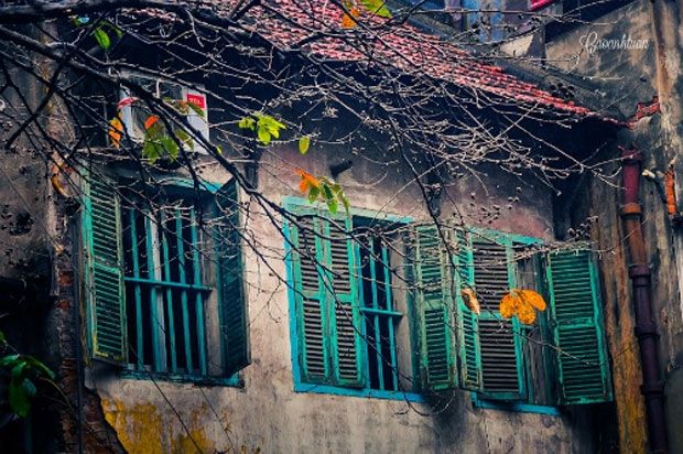 Phải lòng mưa tháng sáu