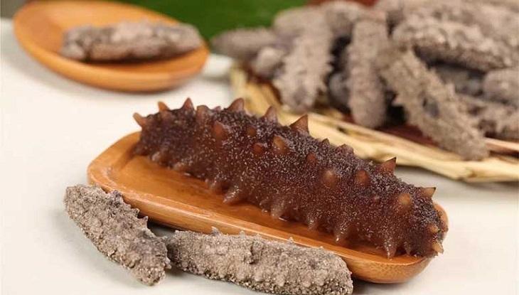 Hải sâm hầm táo đỏ đảng sâm
