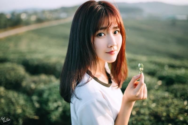 Ảnh minh họa - nguồn internet