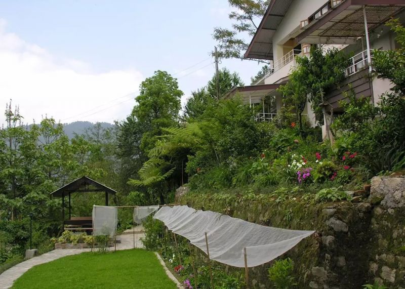 Hidden Forest Retreat, Gangtok, Sikkim