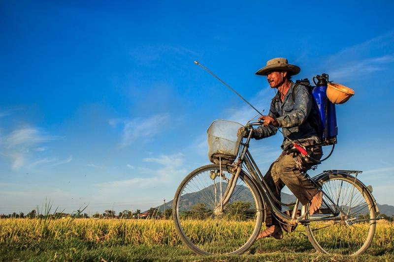 Hình ảnh người nông dân đi làm đồng