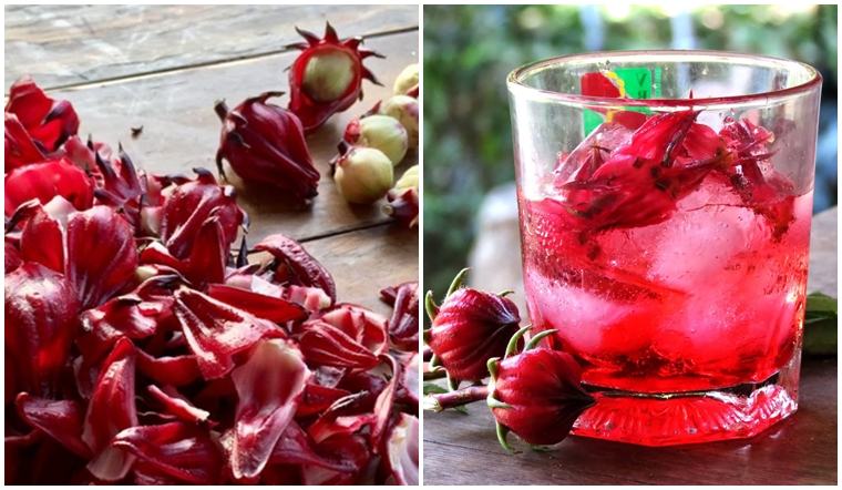 Hỗ trợ quá trình giảm cân