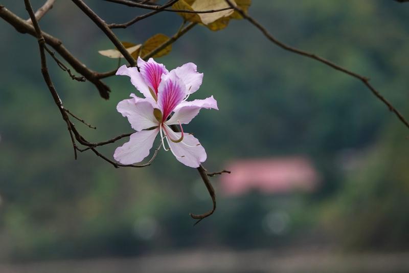 Hãy làm những gì ta thích mới là hạnh phúc...!