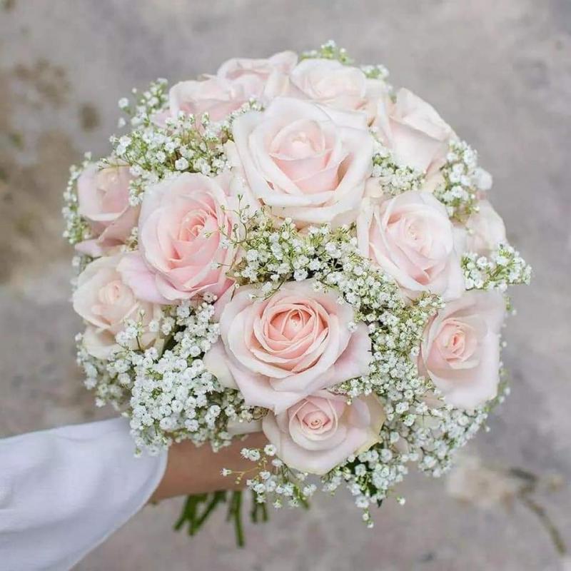 Hoa Đăng Flower