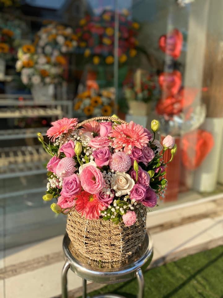 Xinh xắn và thân thiện