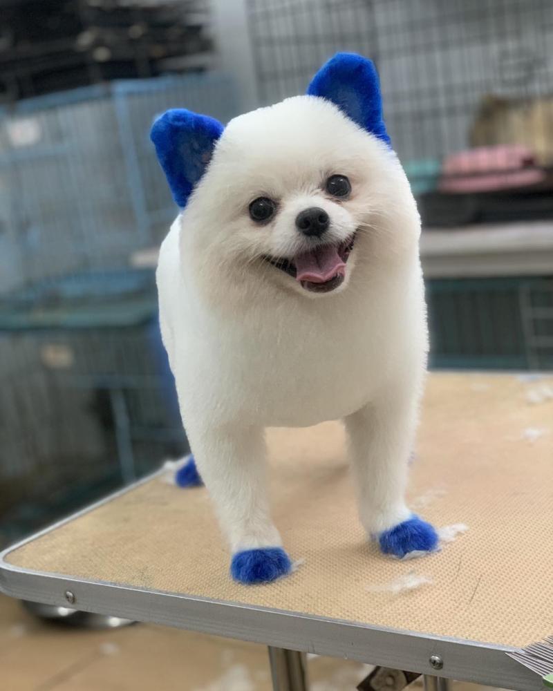 Hue Beauty Pets