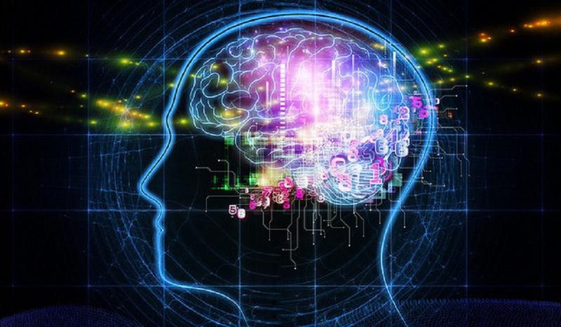 Khả năng lưu trữ thông tin vượt xa mọi máy móc hiện đại nhất