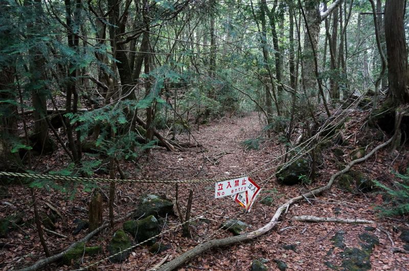 Aokigahara được xem là một địa danh nổi tiếng với sự chết chóc đầy rẫy