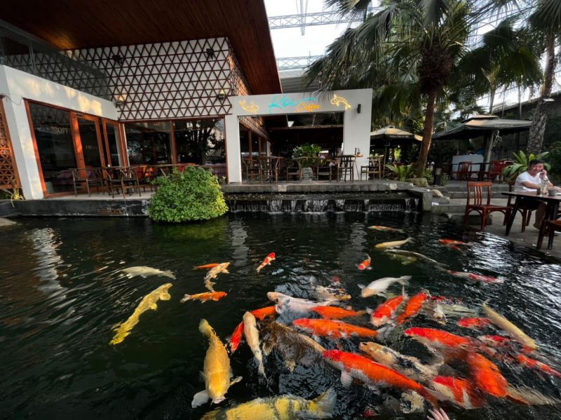 Koi Cafe