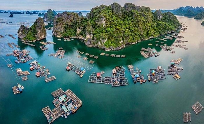 Làng chài Vung Viêng, Hạ Long