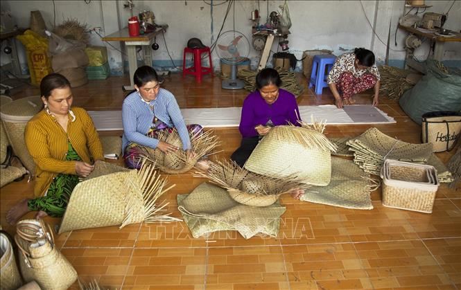 Làng nghề đan cỏ bàng