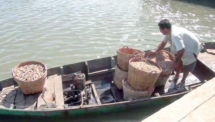 Làng nghề làm tôm khô