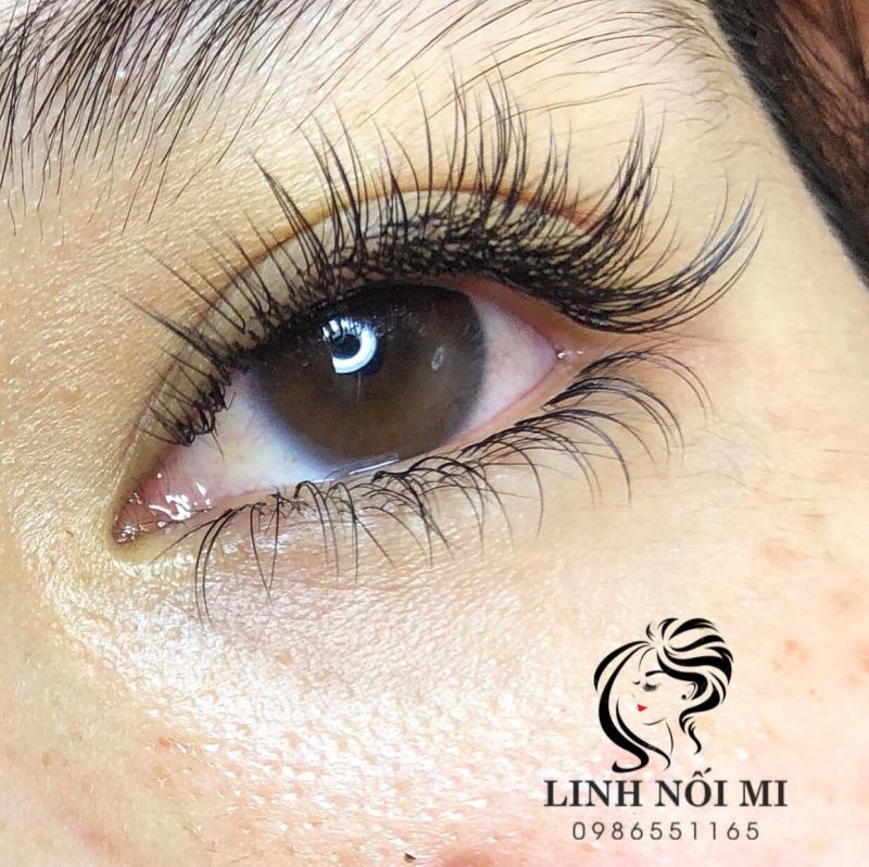 Linh Nối Mi