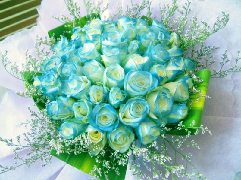 Lời chúc 8/3 dành cho người yêu