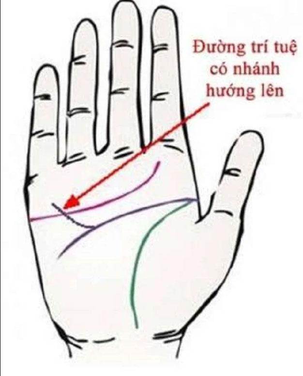 Bàn tay của Quý Nhân