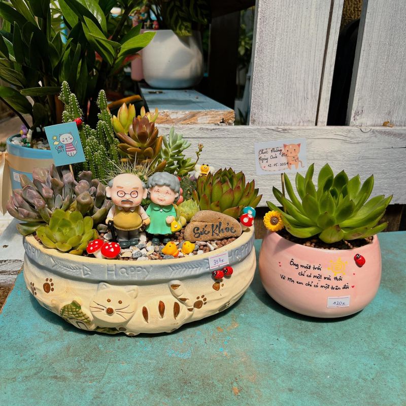 Lynn's Garden - Sen đá Vũng Tàu