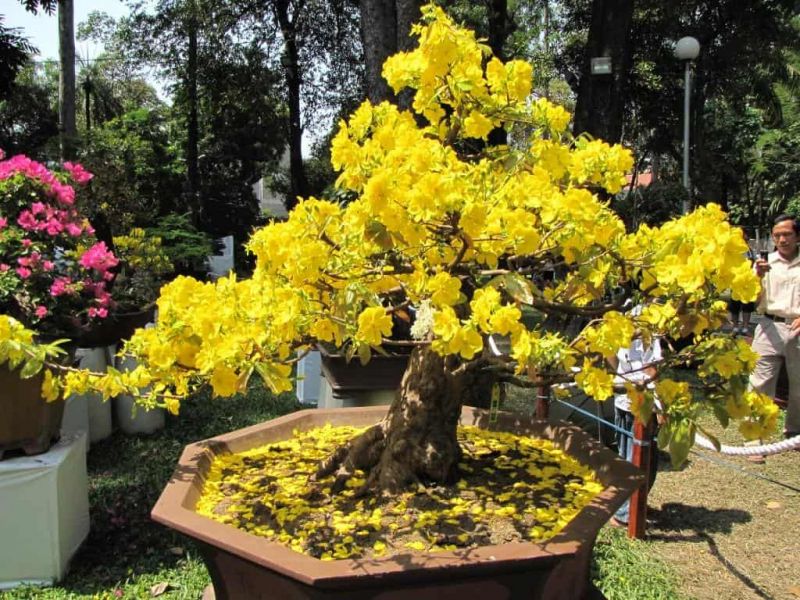 Ảnh minh hoạ