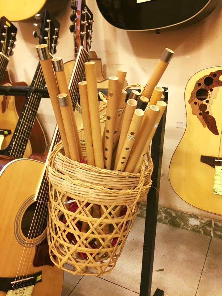Mây Guitar