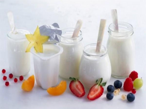 Thải độc cơ thể bằng cách bổ sung Probiotic
