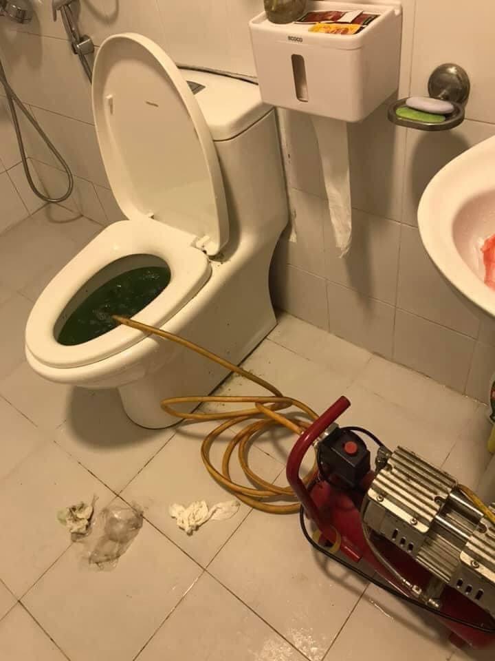 Môi Trường Xanh Trúc An