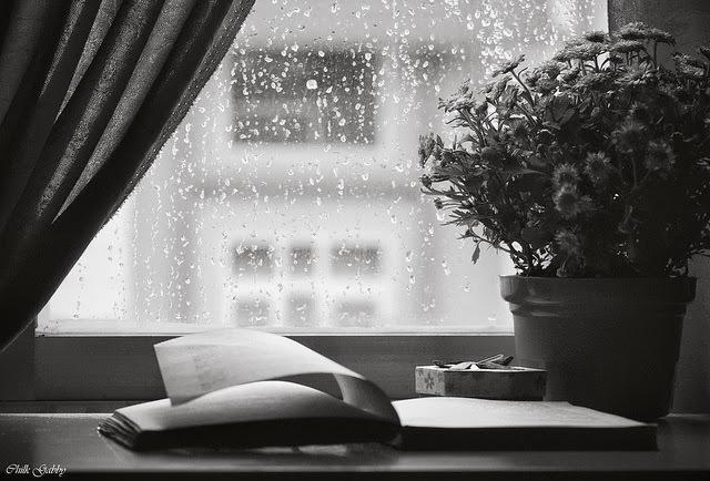 Mùa đông có nỗi nhớ len lỏi trong tim.