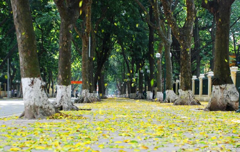 Tháng 9 về...