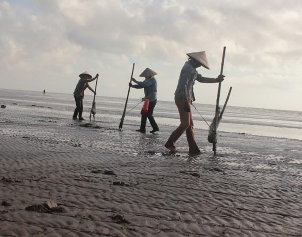 Người dân đi nạo ngao