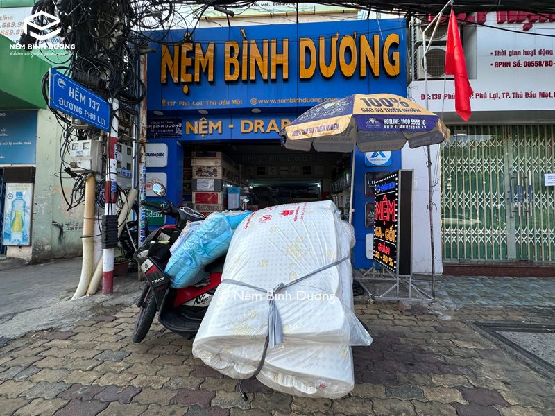 Nệm Bình Dương