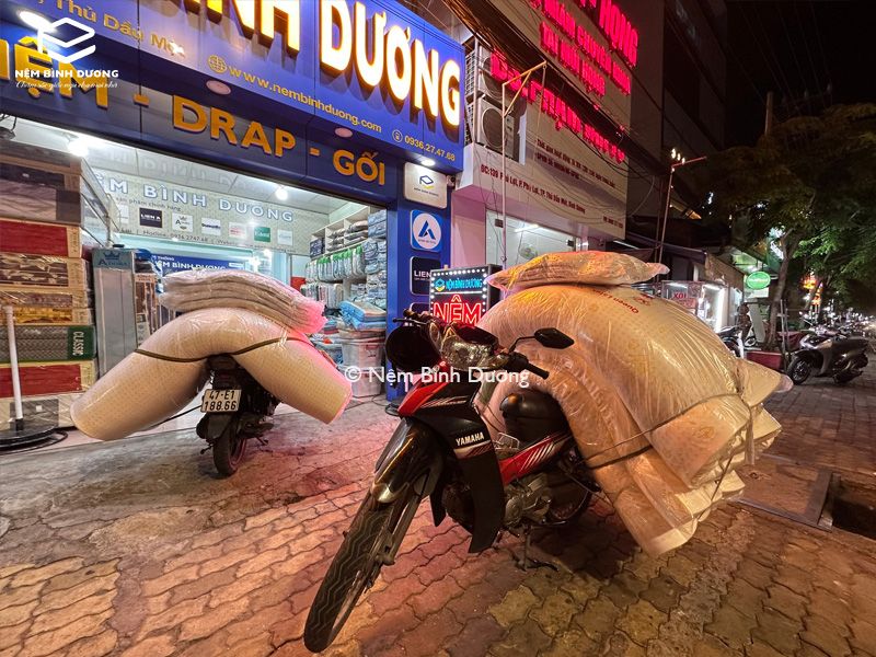 Nệm Bình Dương