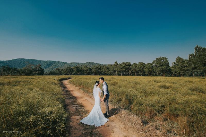 Newline Wedding