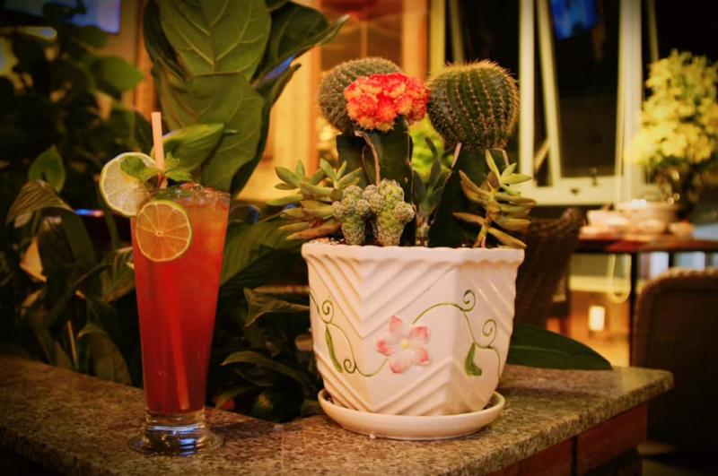 Ngoc Phat Garden Coffee