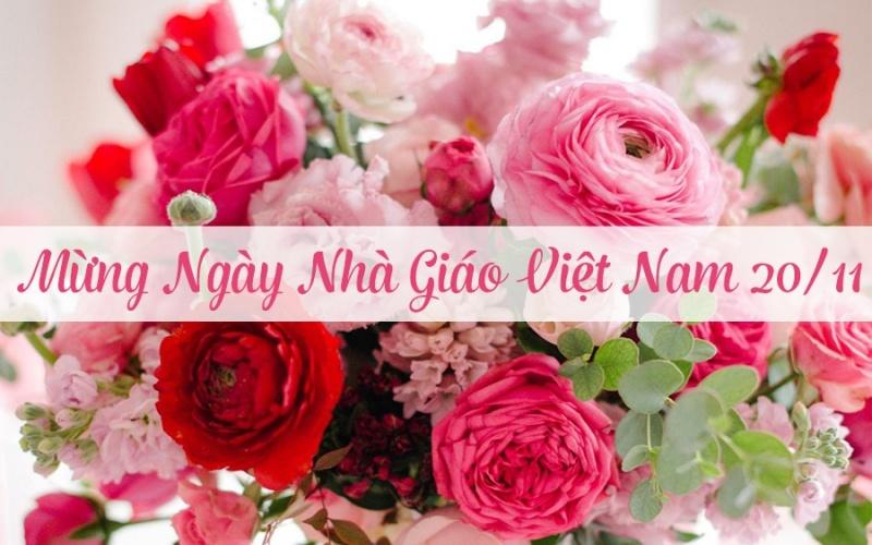Lời tri ân thầy cô chân thành và cảm động nhất 20/11