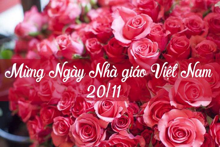 Lời tri ân thầy cô chân thành và cảm động nhất 20/11