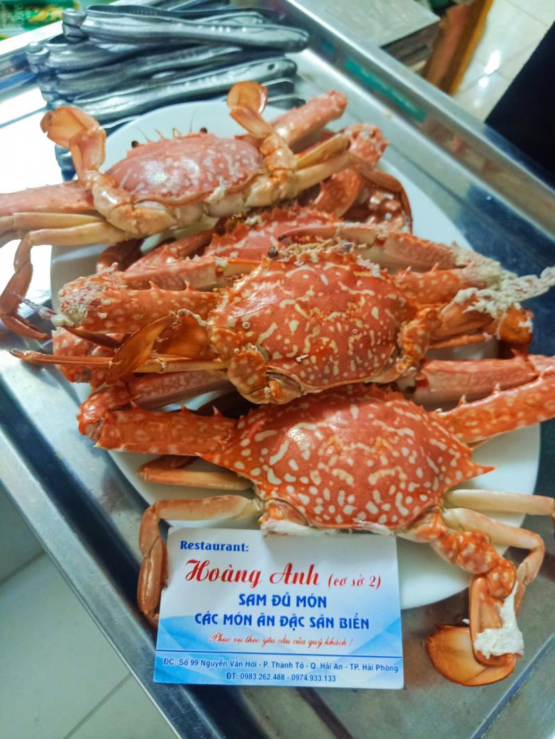 Nhà hàng Hoàng Anh Gỏi Sam