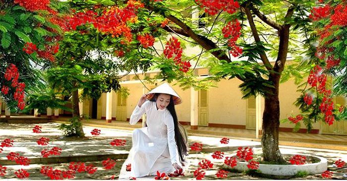 Ảnh minh họa (Nguồn internet)
