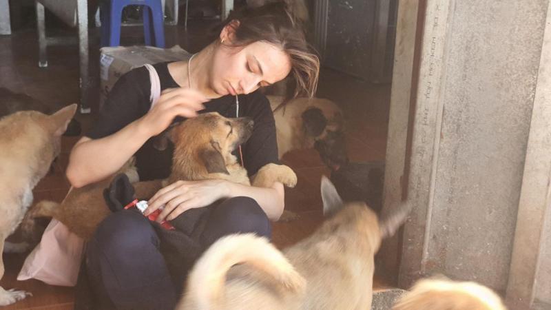 Nhóm cứu hộ chó mèo Sân Nhà Nhiều Chó