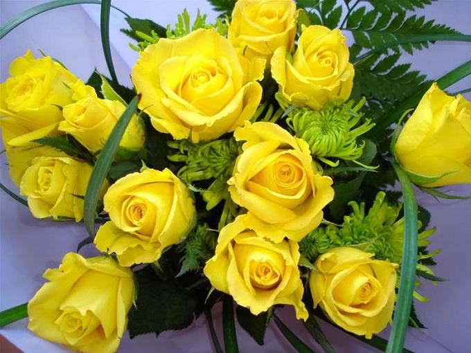 Sự tích hoa Hồng Vàng