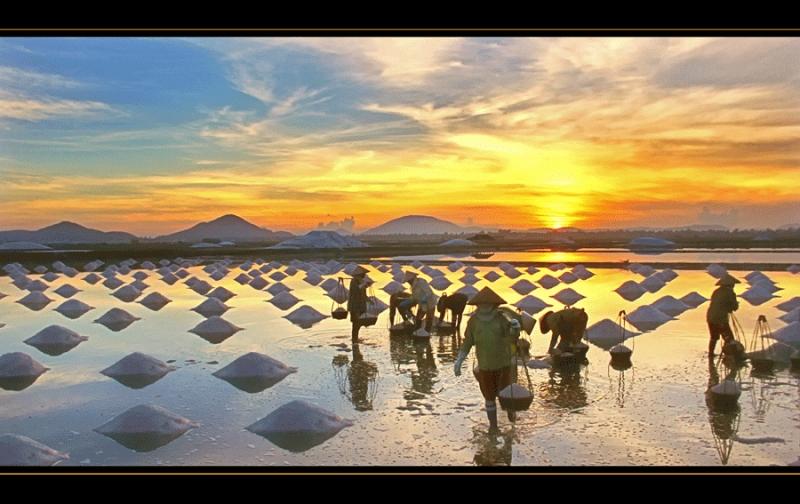 Những cánh đồng muối bạt ngàn