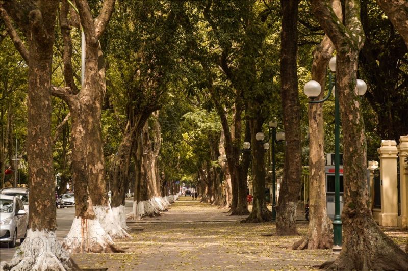 Phan Đình Phùng – Con đường binh yên nhất Hà Nội