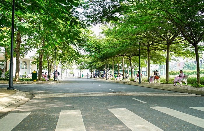 Những góc xanh nơi sân trường