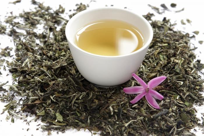 Hồng trà Nam Phi làm từ cây Rooibos