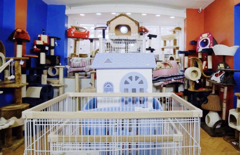Pet Mart - Hệ Thống Siêu Thị Thú Cưng