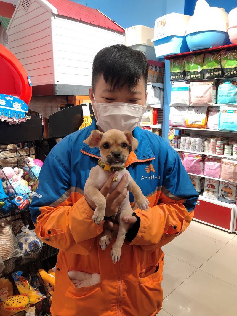 Pet Mart - Hệ Thống Siêu Thị Thú Cưng